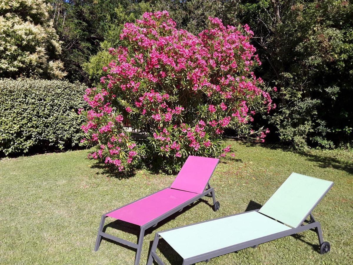 Le Mas Du Chat Bed and Breakfast Cavaillon Exterior foto
